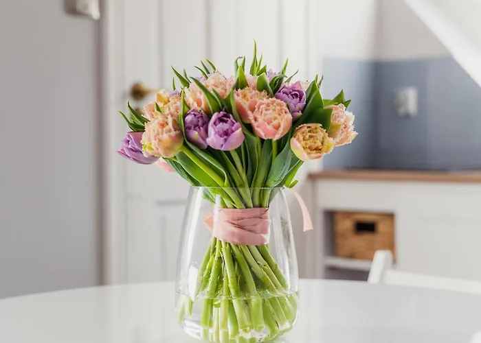 Porta Baltica - 3* 索波特